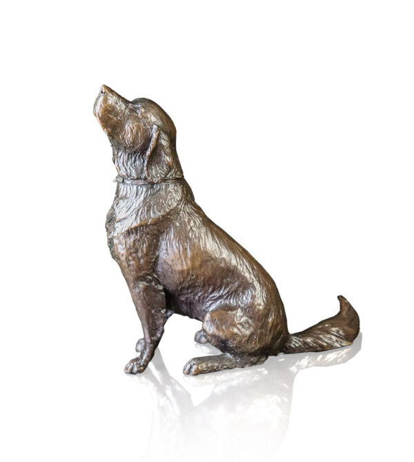 Medium Retriever Dog Sculpture in solid bronze from the Richard Cooper Studios.